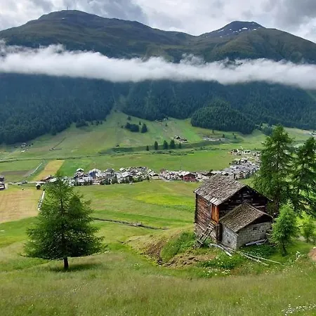 Apartmán Soldanella - *
